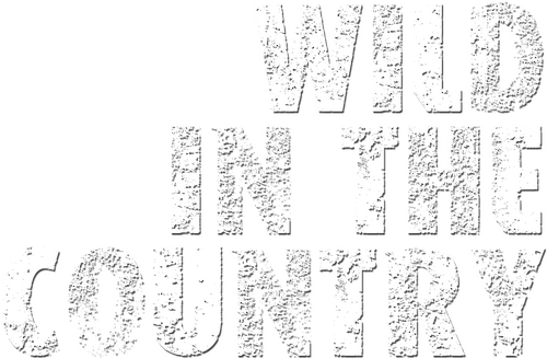 Wild in the Country