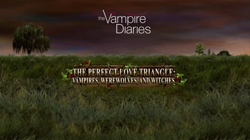 The Perfect Love Triangle: Vampires Werewolves and Witches