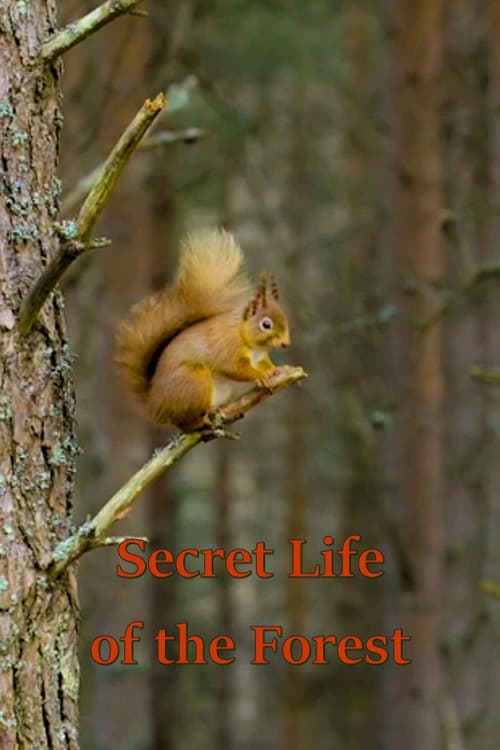 Secret Life of the Forest, S01 - (2021)
