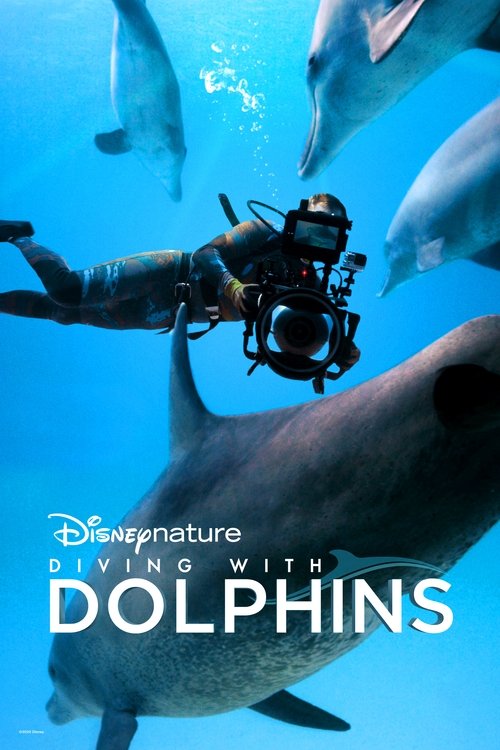 Diving with Dolphins poster