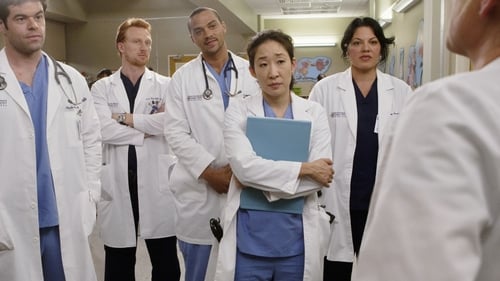Grey's Anatomy - Season 6 - Episode 8: Invest In Love