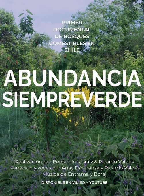 Abundancia siempreverde poster