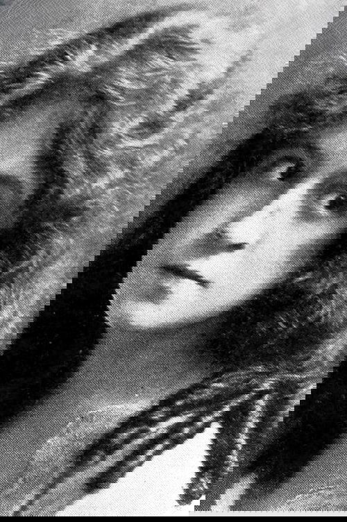 Gypsy Abbott