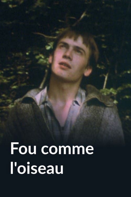 Fou comme l'oiseau (1983)