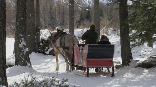 Épisode 6