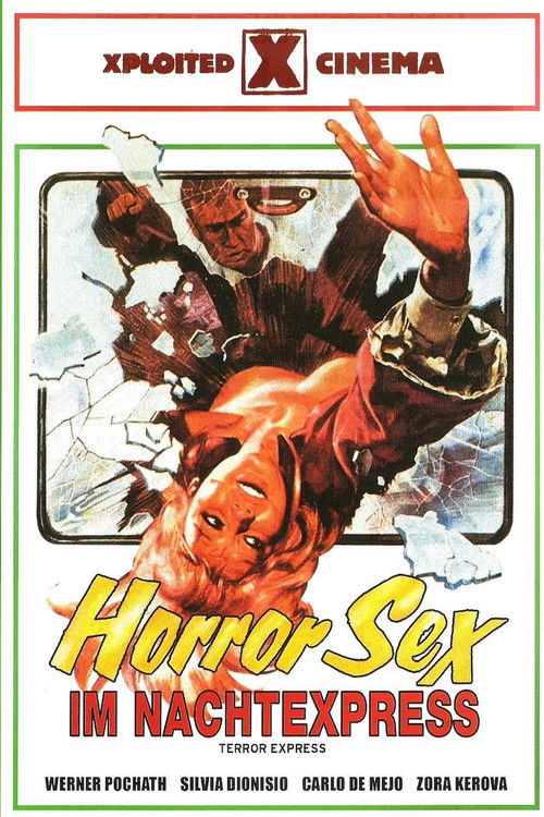 Terror Express poster