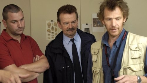 Image de l'épisode 9