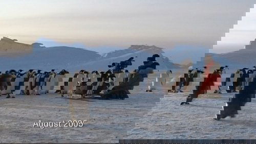 Diaries - Alive in the Freezer