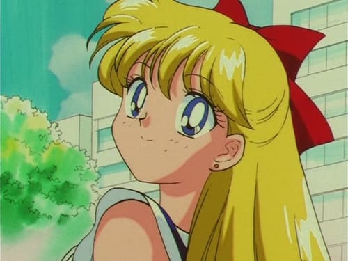 Poster della serie Sailor Moon