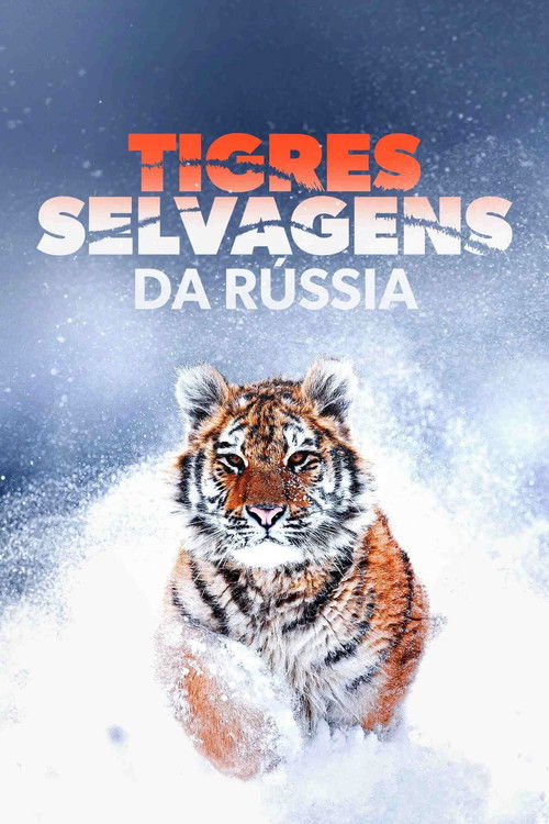 Russia's Wild Tiger poster