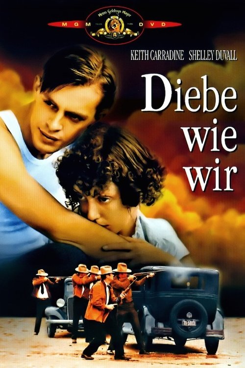 Diebe wie wir Poster