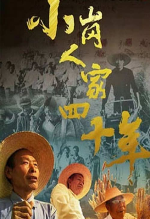 Poster 小岗人家四十年