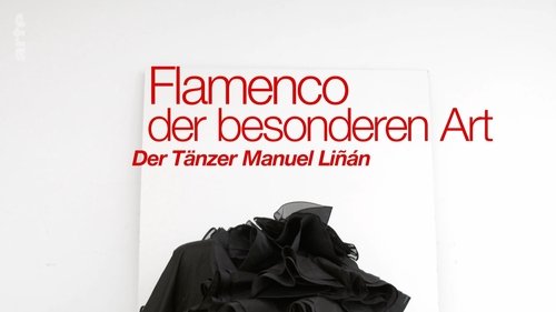 Manuel Liñán - The New Face of Flamenco