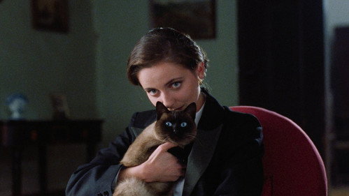 Image du film