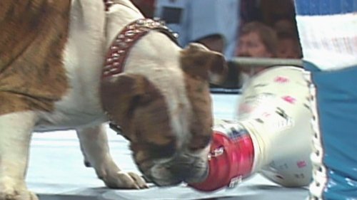 Image de l'épisode 46