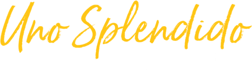 Uno splendido disastro official logo