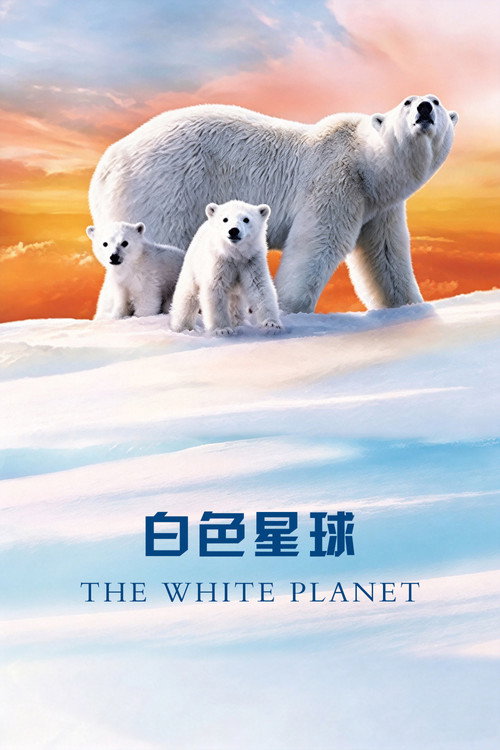 白色星球
