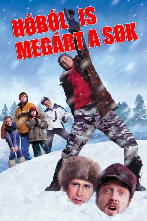 Hóból is megárt a sok movie poster player