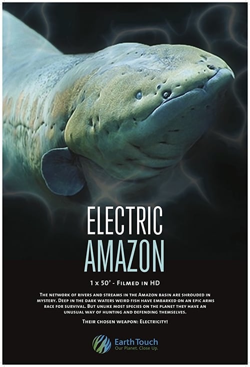 Electric Amazon 2015