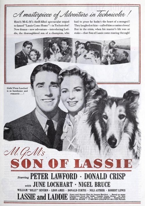 Poster 3