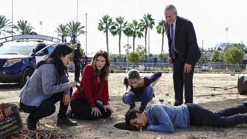 Scorpion: 4×11