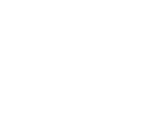 Carnaval da Sabrina