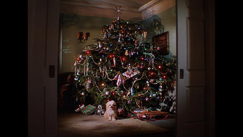 The Boy with Green Hair