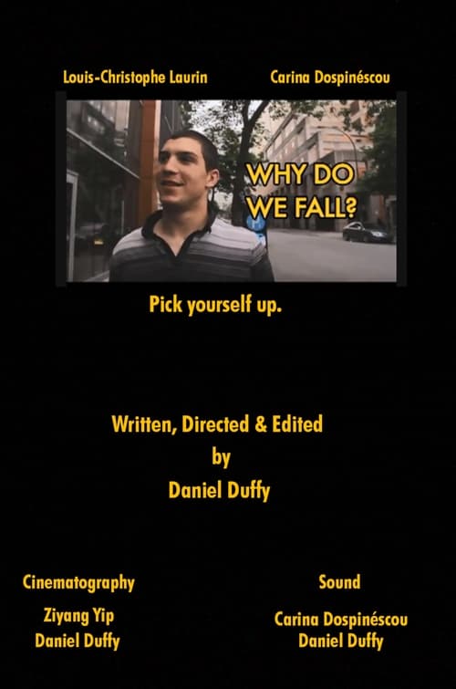 Why Do We Fall? (2013)
