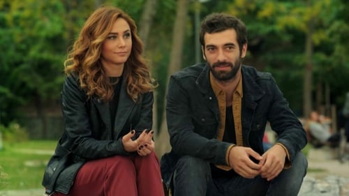 Poster della serie Poyraz Karayel