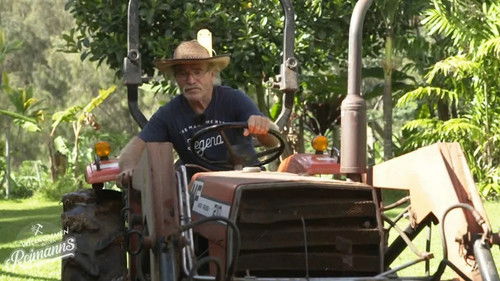 Image de l'épisode 4