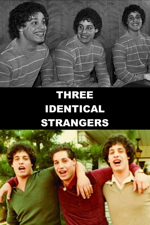 Three Identical Strangers poster