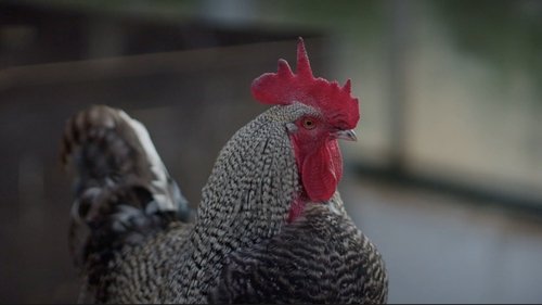 Image de l'épisode 6