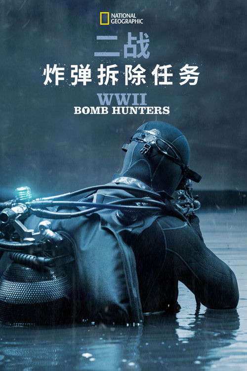 WWII Bomb Hunters poster