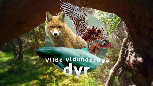 Vilde vidunderlige dyr