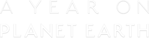 A Year on Planet Earth