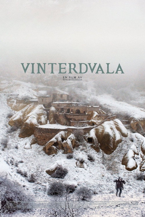 Winter Sleep poster