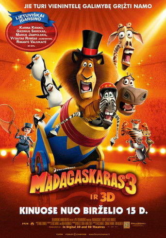 Madagaskaras 3