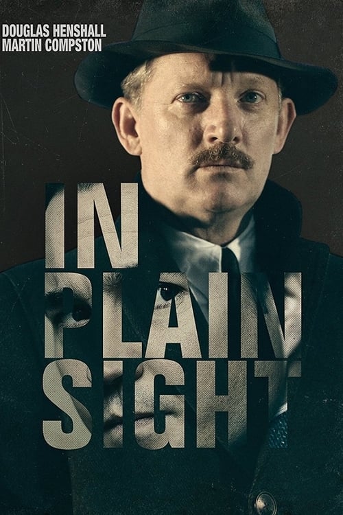 In Plain Sight poster