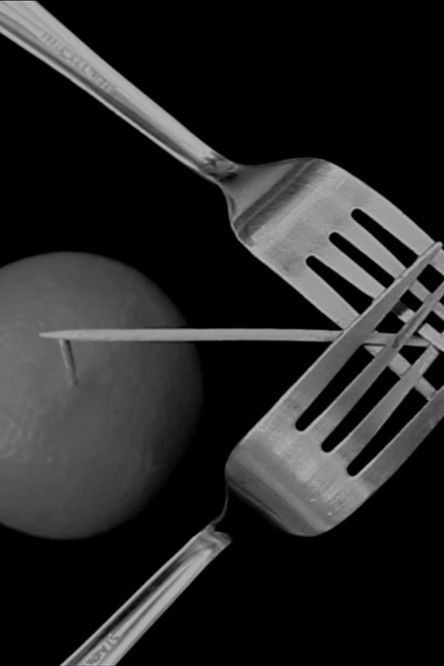 The Equilibrists poster