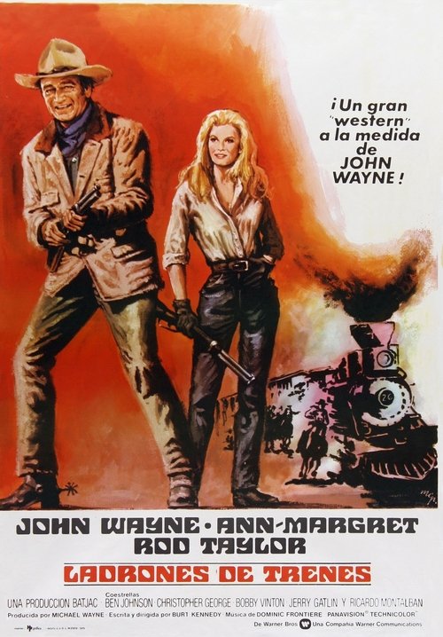 The Train Robbers poster