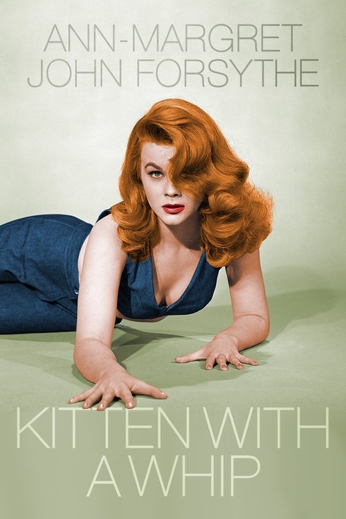 Kitten with a Whip poster