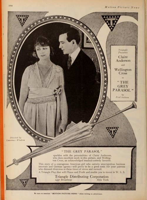 The Grey Parasol movie poster player