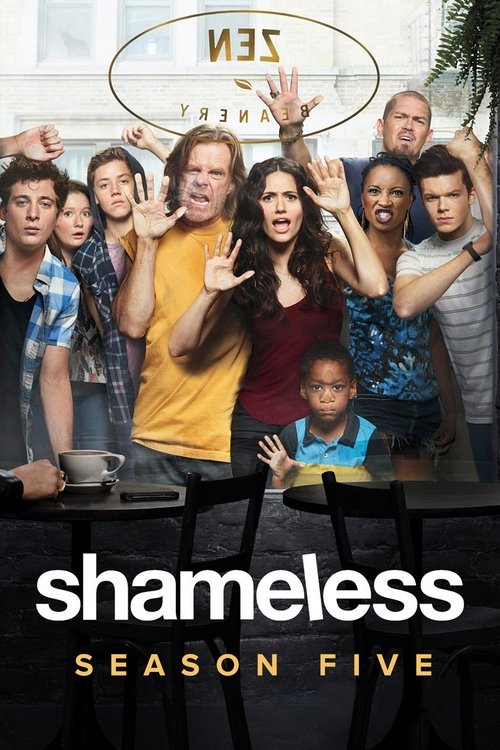 Shameless: Temporada 5 online