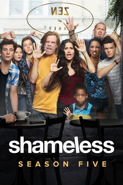 Where to stream Shameless Season 5