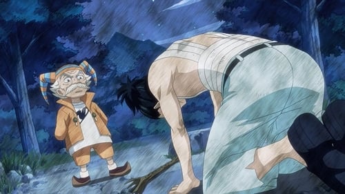 Fairy Tail: 1×8