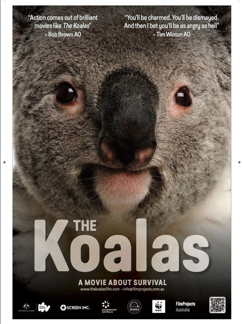Poster for The Koalas