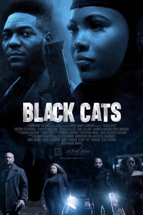 Black Cats