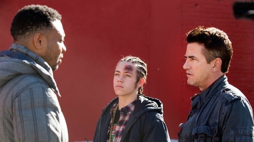 Shameless (US): 6×8