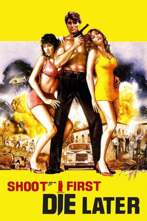Poster 8