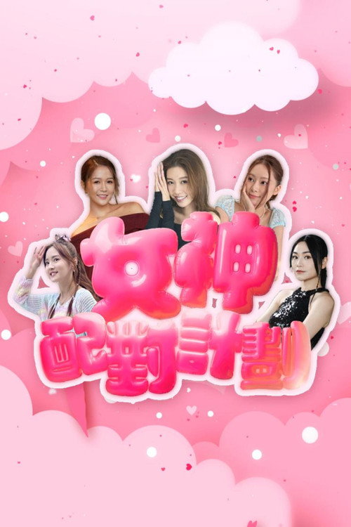 女神配對計劃